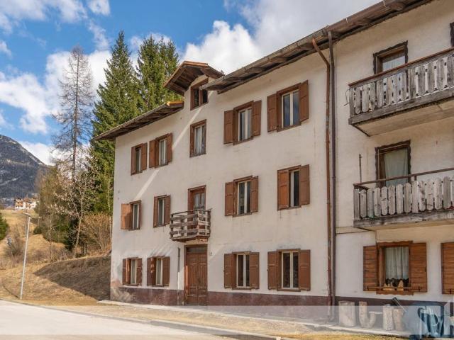 Villa Indipendente in vendita a Valle, San Pietro Di Cadore