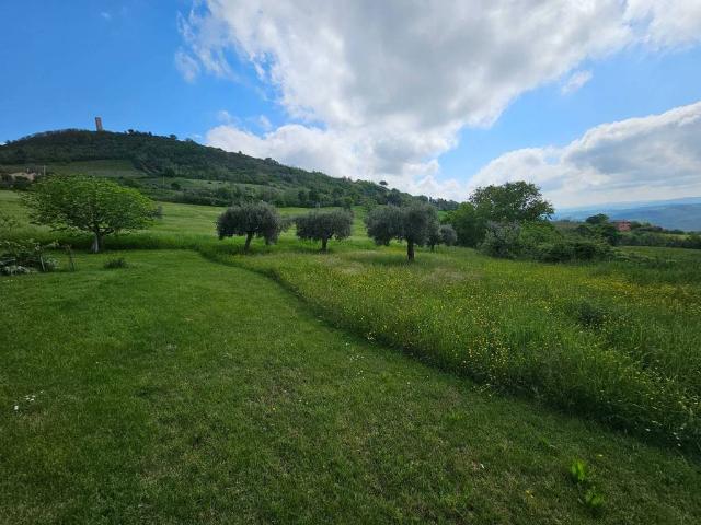 Villa Indipendente in vendita a Pitino, Marche