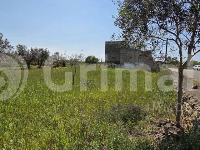 Villa Indipendente in vendita a Puglia, Lecce