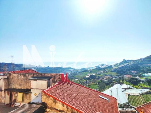 Villa Indipendente in vendita a Poggio di Sanremo, San Remo