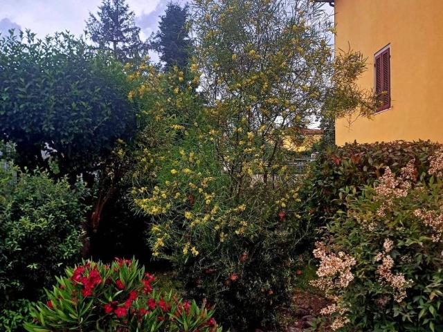 Villa Indipendente in vendita a Santa Croce Sull'arno, Toscana