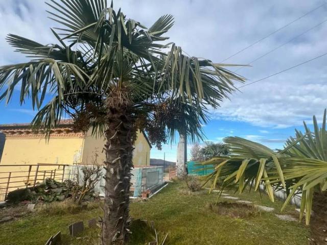 Villa Indipendente in vendita a Santa Margherita Staffora, Lombardia