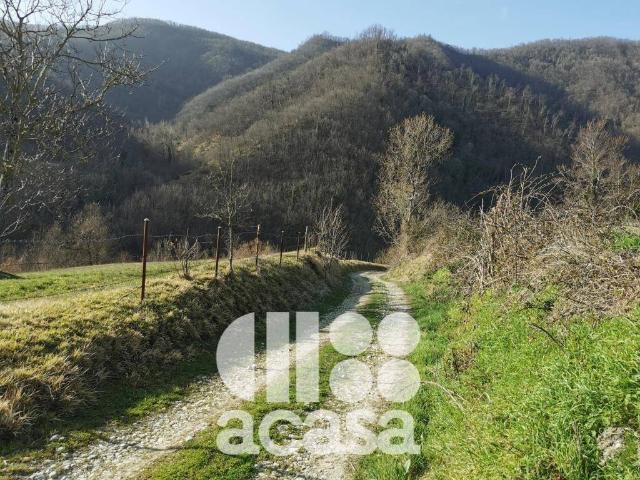 Villa Indipendente in vendita a Sant'Agata Feltria, Rimini
