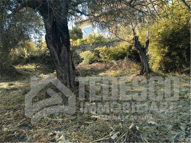 Villa Indipendente in vendita a Sant'angelo A Cupolo, Campania
