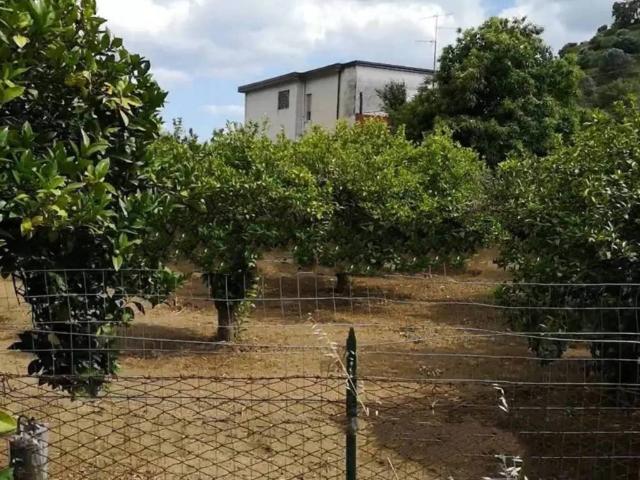 Villa Indipendente in vendita a Calabria, Reggio Calabria