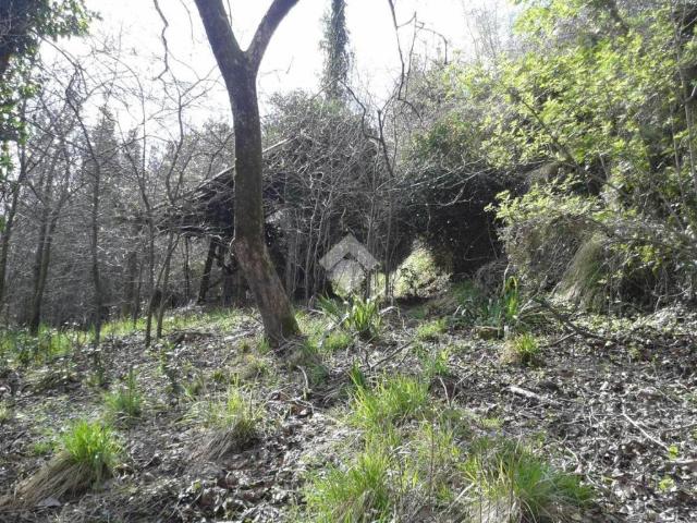 Villa Indipendente in vendita a Sant'olcese, Liguria