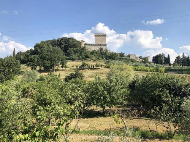 Villa Indipendente in vendita a Sarteano, Siena