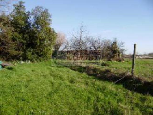 Villa Indipendente in vendita a Sarzana, Liguria