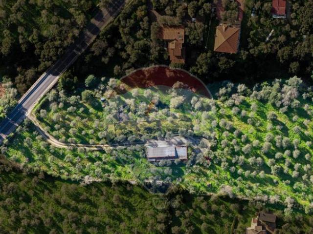 Villa Indipendente in vendita a Cala Di Volpe, Sardigna/Sardegna
