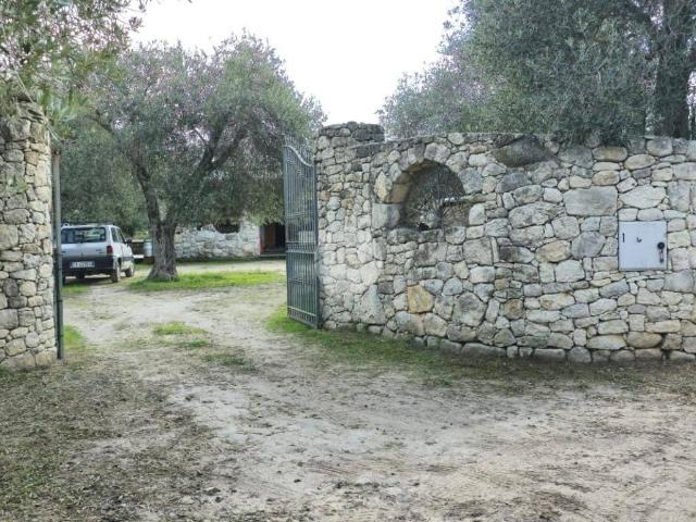 Villa Indipendente in vendita a Cala Di Volpe, Sardigna/Sardegna