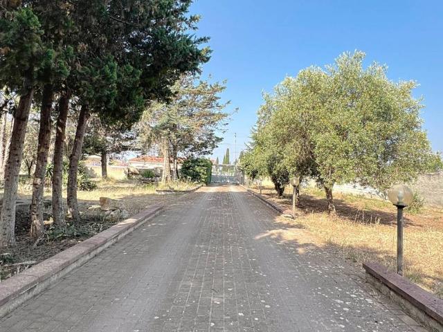Villa Indipendente in vendita a Cala Di Volpe, Sardigna/Sardegna