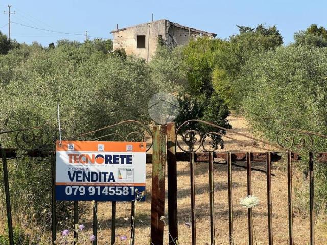 Villa Indipendente in vendita a Cala Di Volpe, Sardigna/Sardegna
