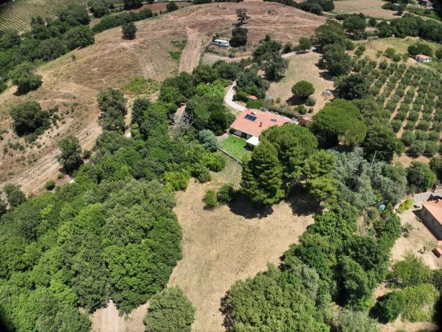Villa Indipendente in vendita a Scansano, Toscana