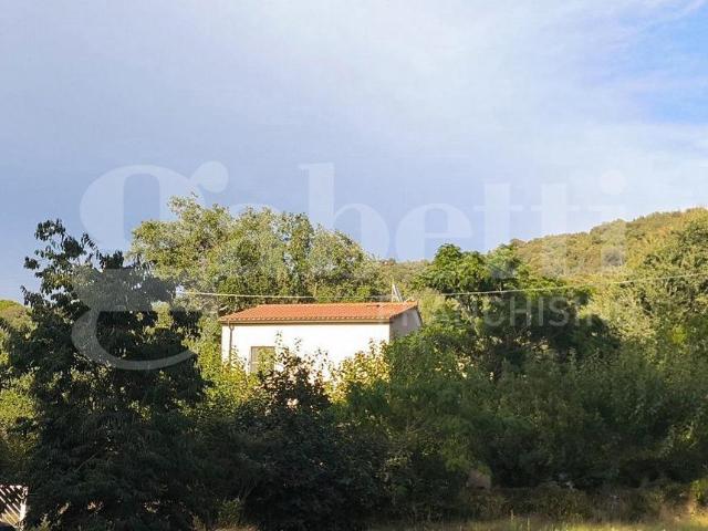 Villa Indipendente in vendita a Puntone di Scarlino, Scarlino