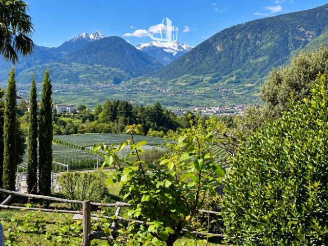 Villa Indipendente in vendita a St. Georgen - San Giorgio, Schenna - Scena