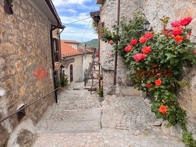 Villa Indipendente in vendita a Scontrone, Abruzzo