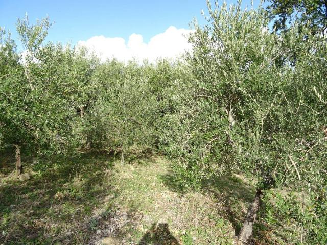 Villa Indipendente in vendita a Marche, Ancona