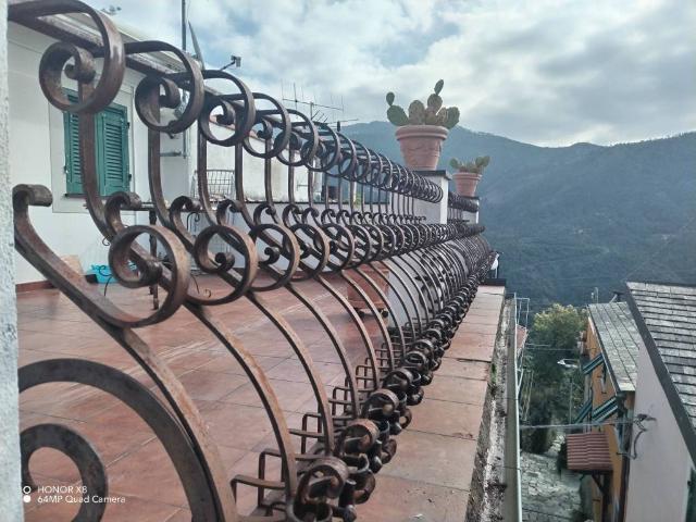 Villa Indipendente in vendita a Ne, Sestri Levante