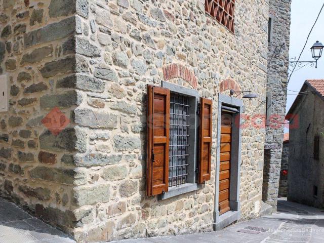 Villa Indipendente in vendita a Unione Comuni Garfagnana, Ponteccio