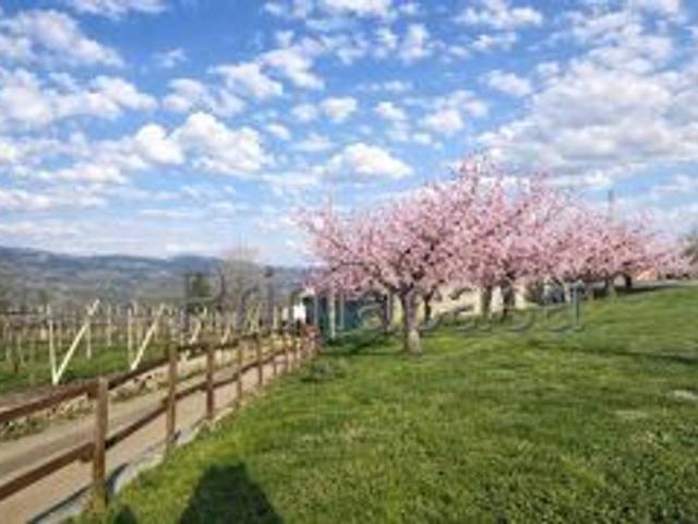 Villa Indipendente in vendita a Soave, Veneto
