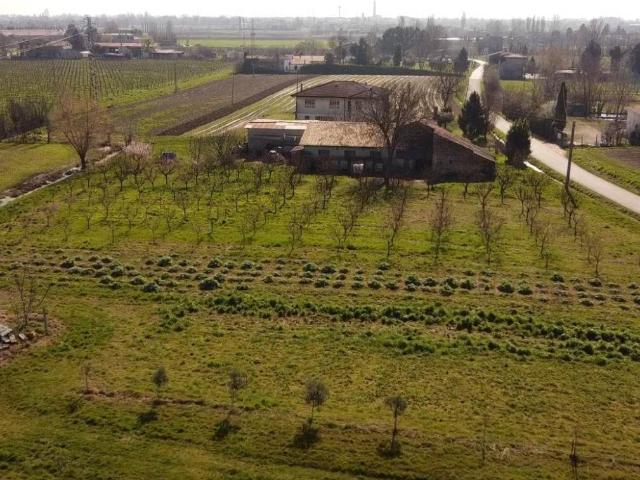 Villa Indipendente in vendita a Arteselle, Solesino