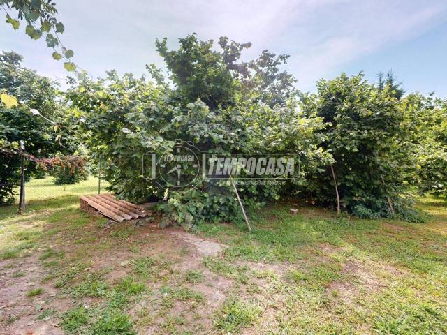 Villa Indipendente in vendita a Ricchiardo, Sommariva del Bosco