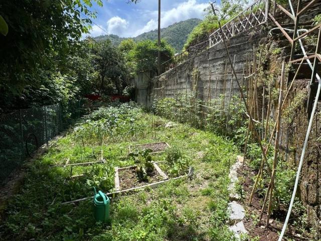 Villa Indipendente in vendita a Sori, Liguria
