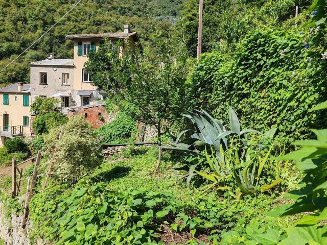 Villa Indipendente in vendita a Sori, Liguria