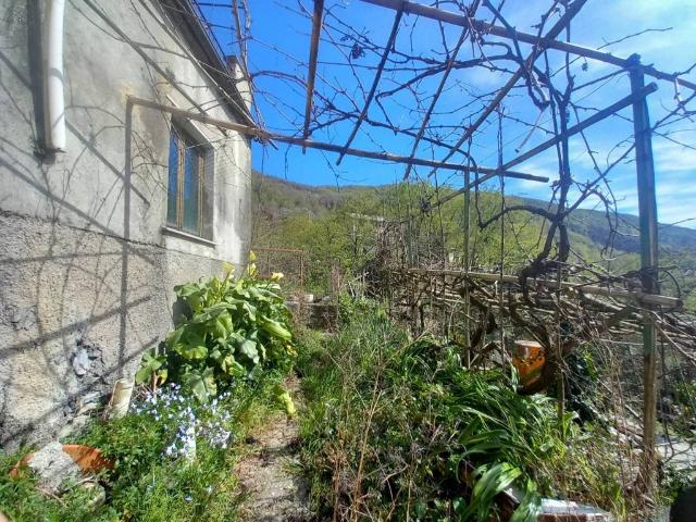 Villa Indipendente in vendita a Sori, Liguria