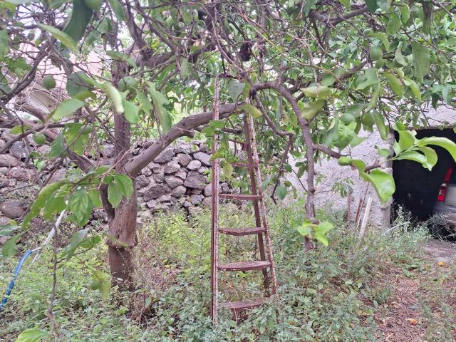 Villa Indipendente in vendita a Suni, Sardigna/Sardegna