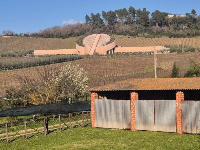 Villa Indipendente in vendita a San Lorenzo, Suvereto