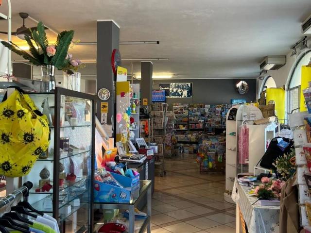 Villa Indipendente in vendita a Tavazzano, Tavazzano Con Villavesco