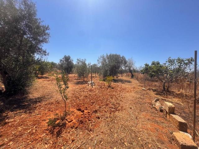 Villa Indipendente in vendita a Marina di Mancaversa, Puglia