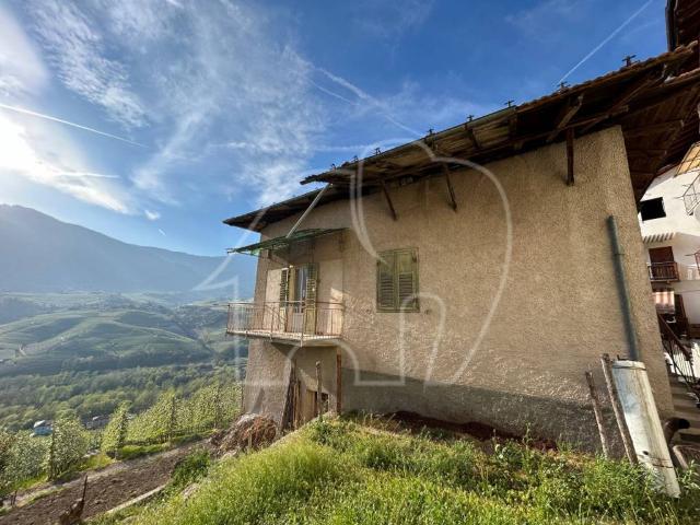 Villa Indipendente in vendita a Comunità della Val di Non, Ton