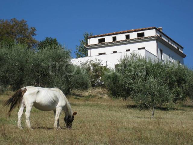 Villa Indipendente in vendita a Azzinano, Tossicia
