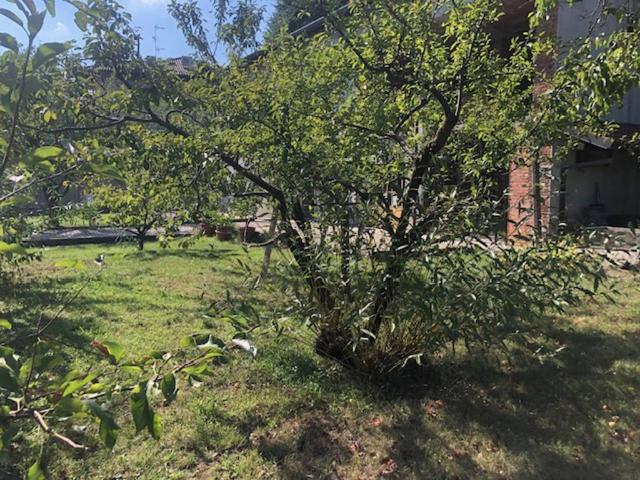 Villa Indipendente in vendita a Abbiate Guazzone, Tradate