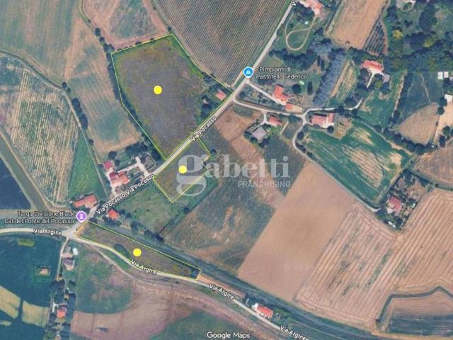 Villa Indipendente in vendita a Tribano, Veneto