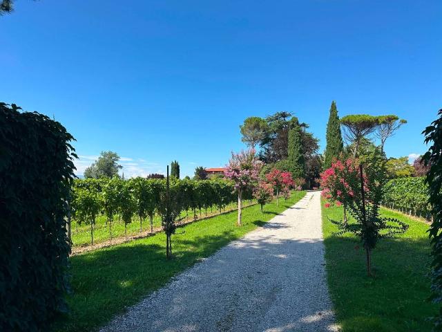 Villa Indipendente in vendita a Tricesimo, Friuli-Venezia Giulia