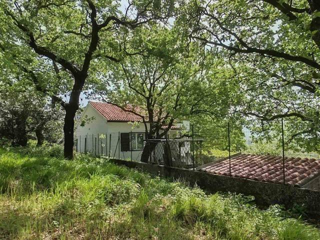 Villa Indipendente in vendita a Servola-Chiarbola-Valmaura-Borgo San Sergio, Villa Opicina