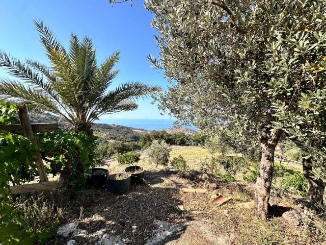 Villa Indipendente in vendita a Tusa, Sicilia