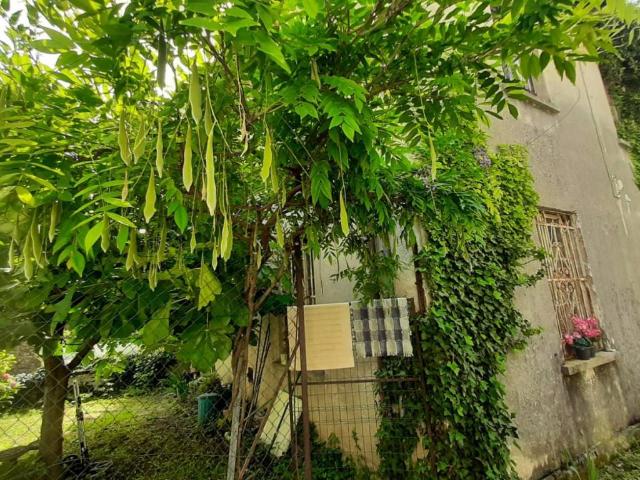 Villa Indipendente in vendita a San Paolo, Reana Del Roiale