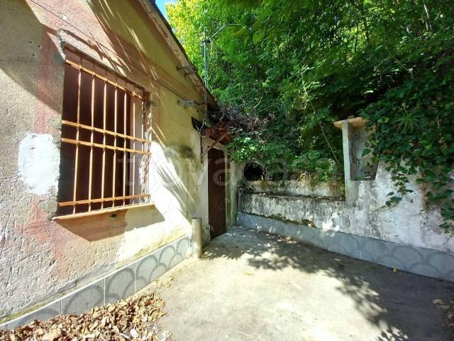 Villa Indipendente in vendita a Tribogna, Liguria
