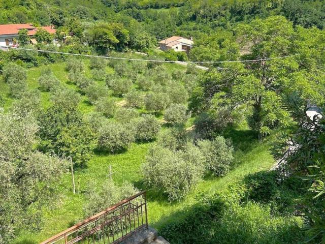 Villa Indipendente in vendita a Val Liona, Pederiva