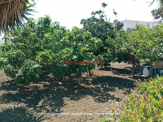 Villa Indipendente in vendita a Valderice, Sicilia