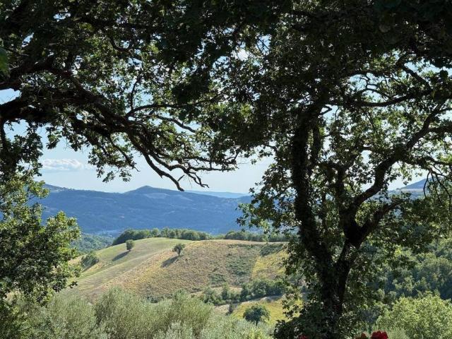 Villa Indipendente in vendita a Valfabbrica, Umbria