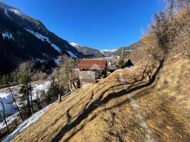 Villa Indipendente in vendita a Mas, Vallada Agordina
