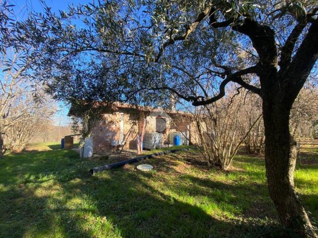 Villa Indipendente in vendita a Vallerano, Lazio