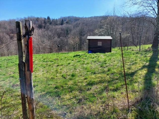 Villa Indipendente in vendita a Valli Del Pasubio, Veneto