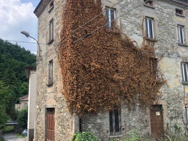 Villa Indipendente in vendita a Varsi, Reggio Emilia