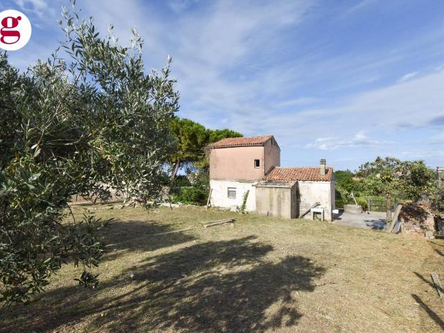Villa Indipendente in vendita a Vasto, Abruzzo